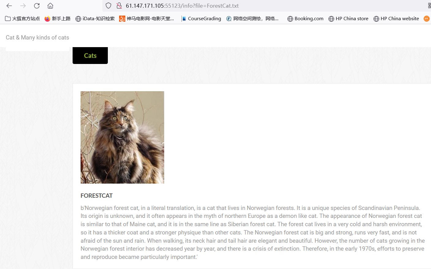 catcat-new1